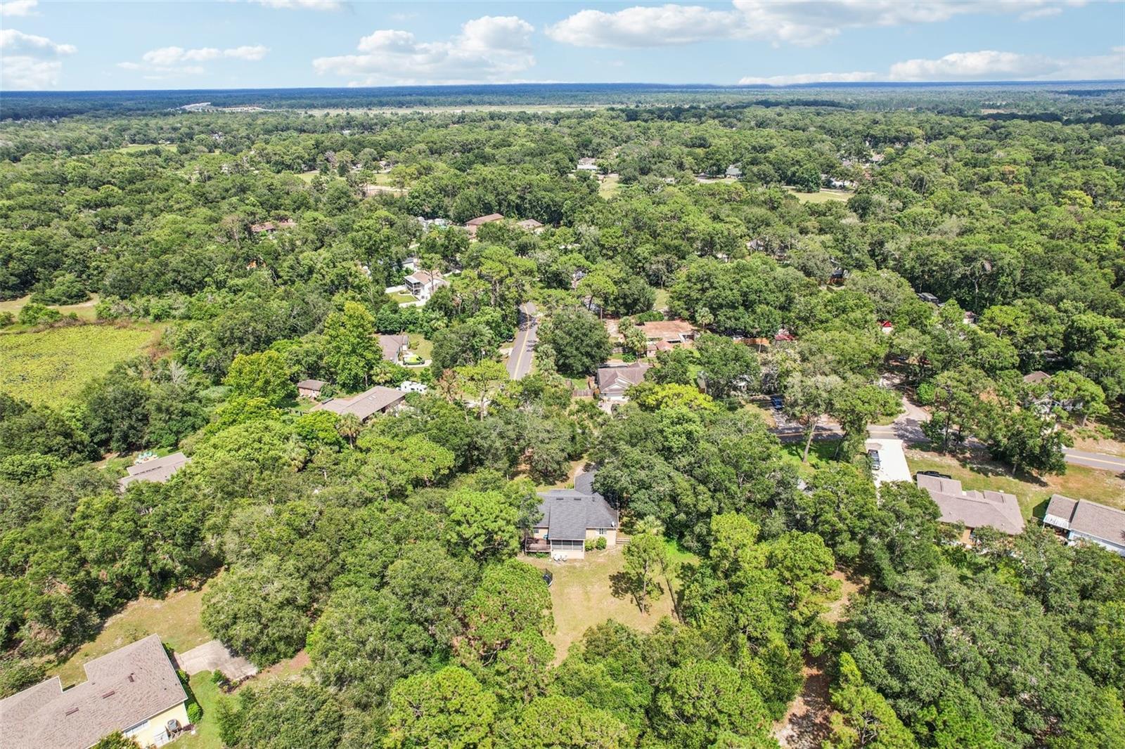 MOUNT PLYMOUTH - Residential