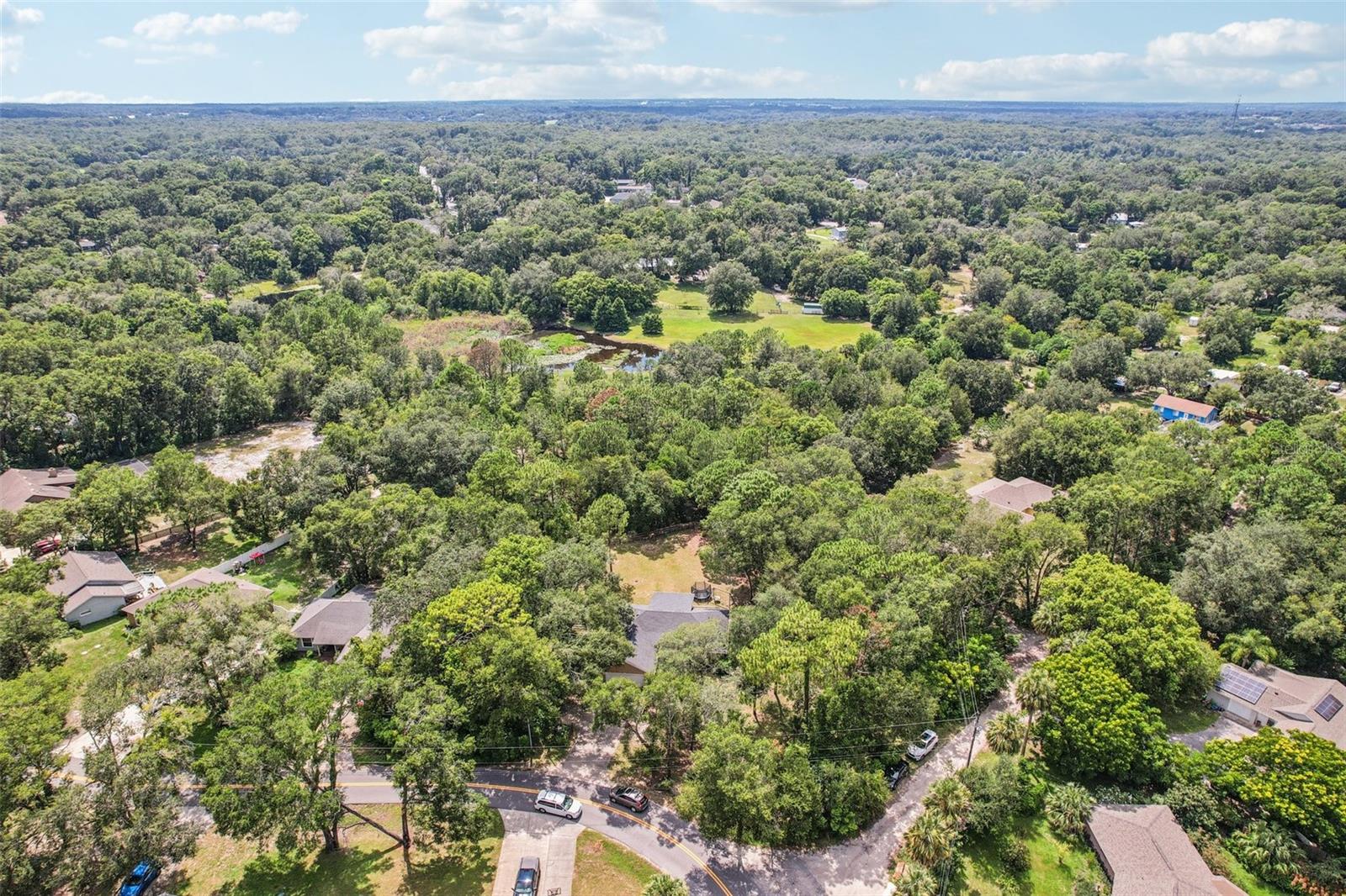 MOUNT PLYMOUTH - Residential