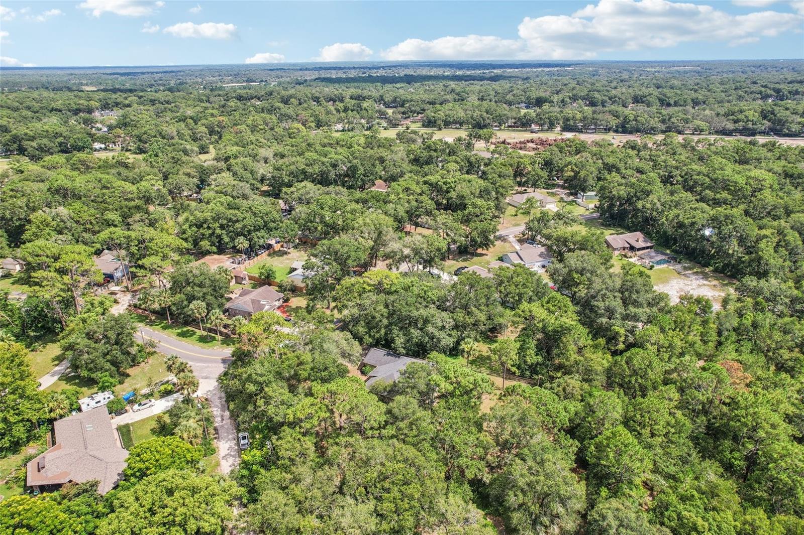 MOUNT PLYMOUTH - Residential