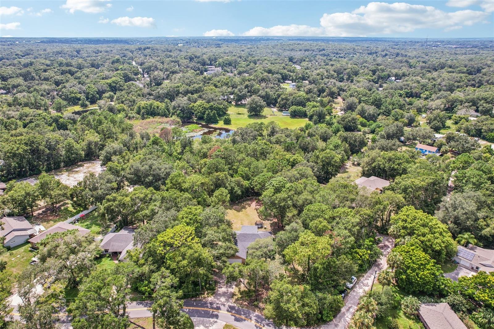 MOUNT PLYMOUTH - Residential