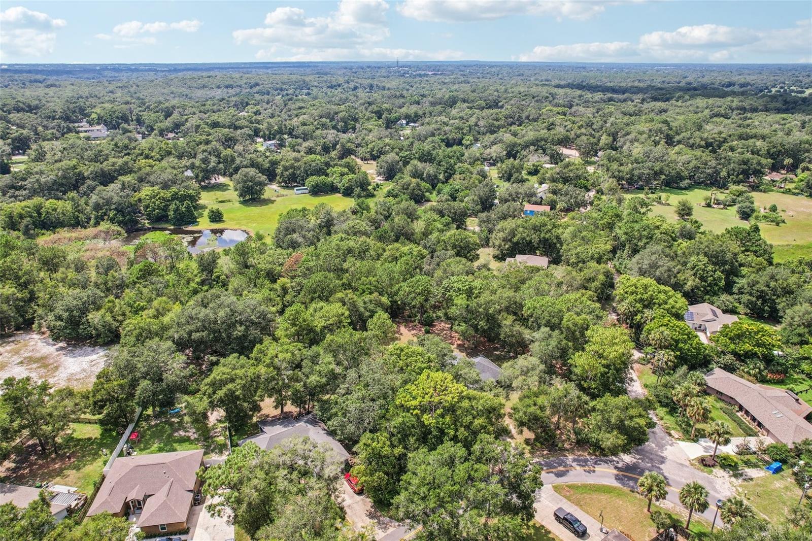 MOUNT PLYMOUTH - Residential