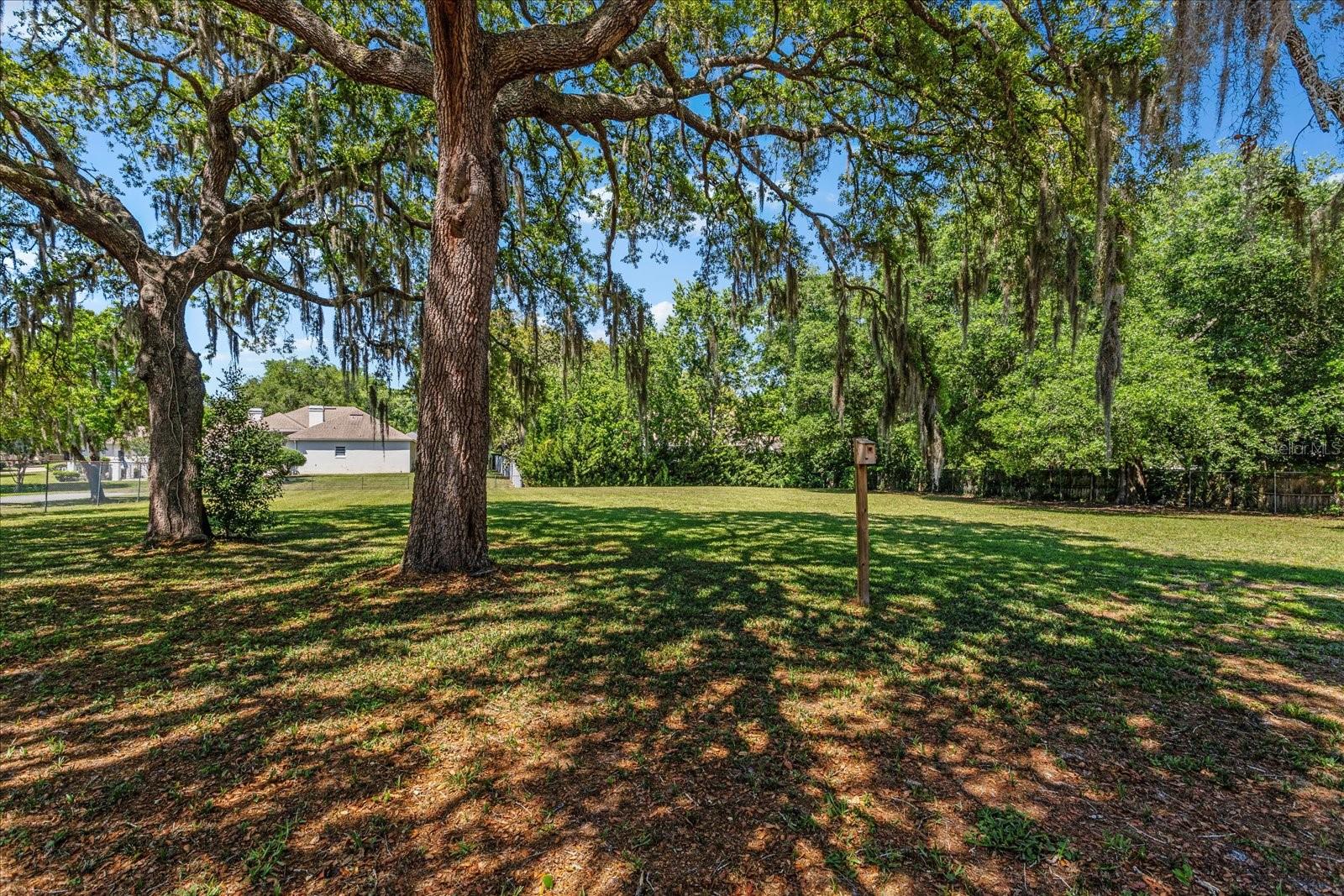 FOXBOROUGH THIRD ADDITION - Residential