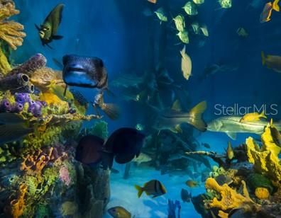 JACARANDA BEACH VILLAS CONDO - Residential