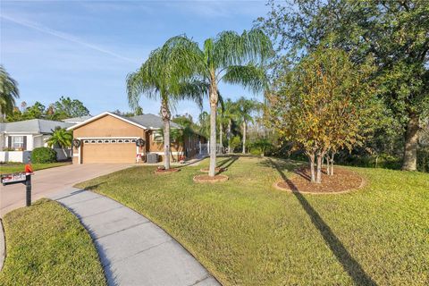 A home in LAND O LAKES