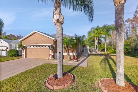 A home in LAND O LAKES