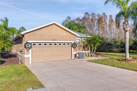 A home in LAND O LAKES