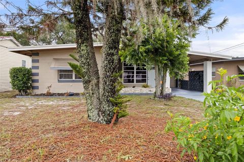1113 OAKLAND CIRCLE TAVARES FL 32778