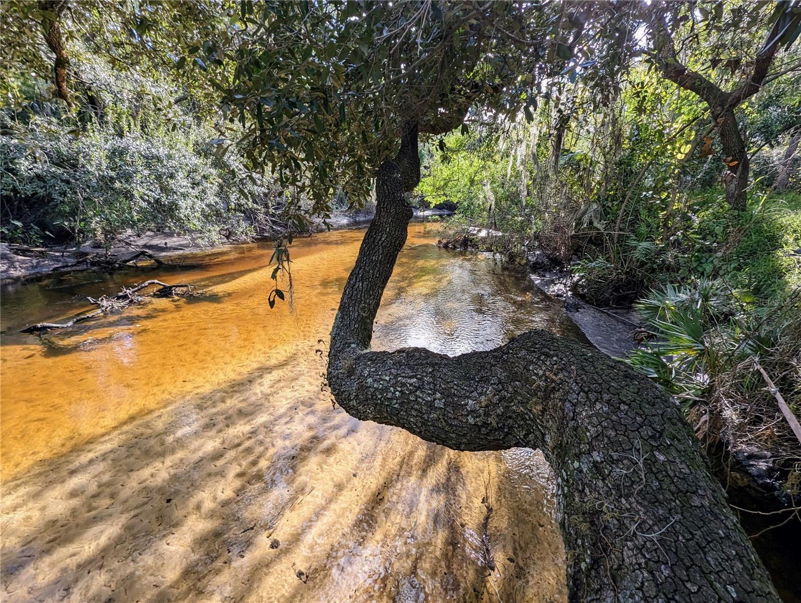 8839 RICHMOND STREET