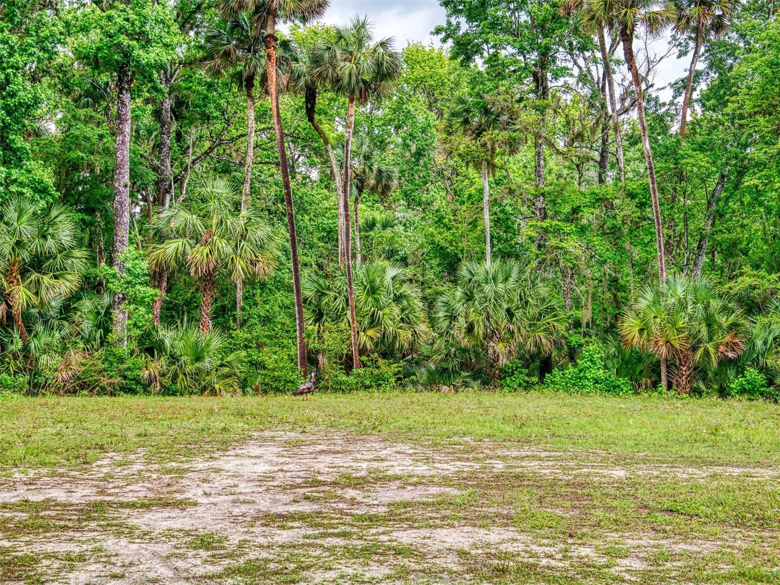 LIBERTY VILLAGE SUB - Land