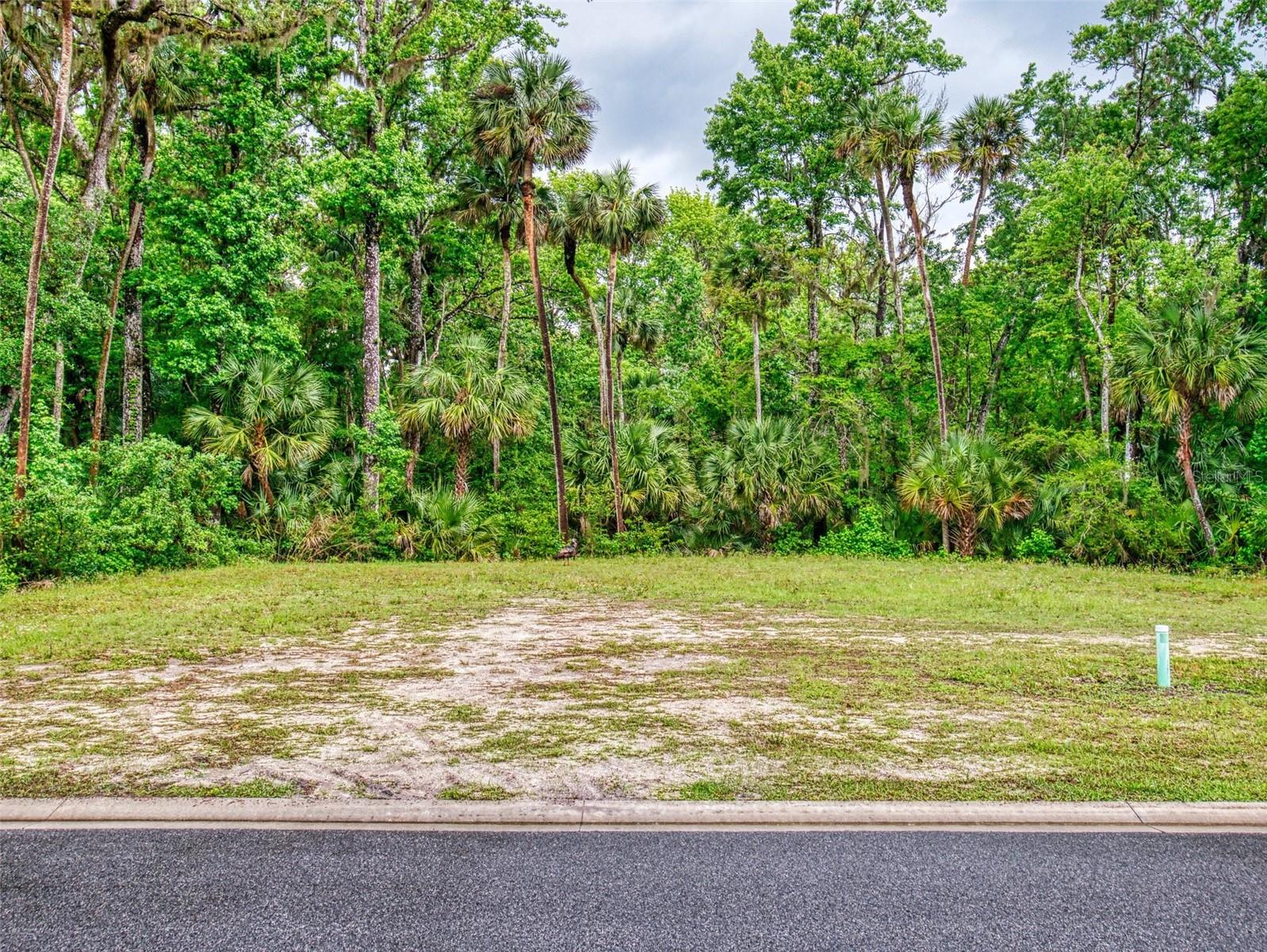 LIBERTY VILLAGE SUB - Land