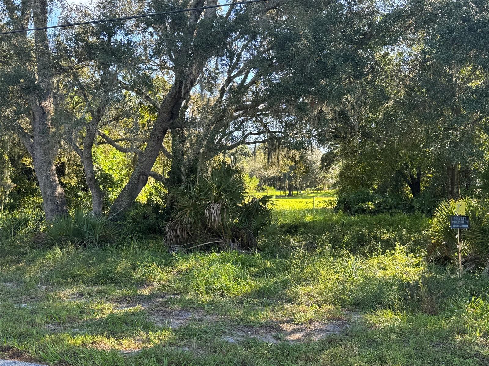 AVON PARK LAKES - Land