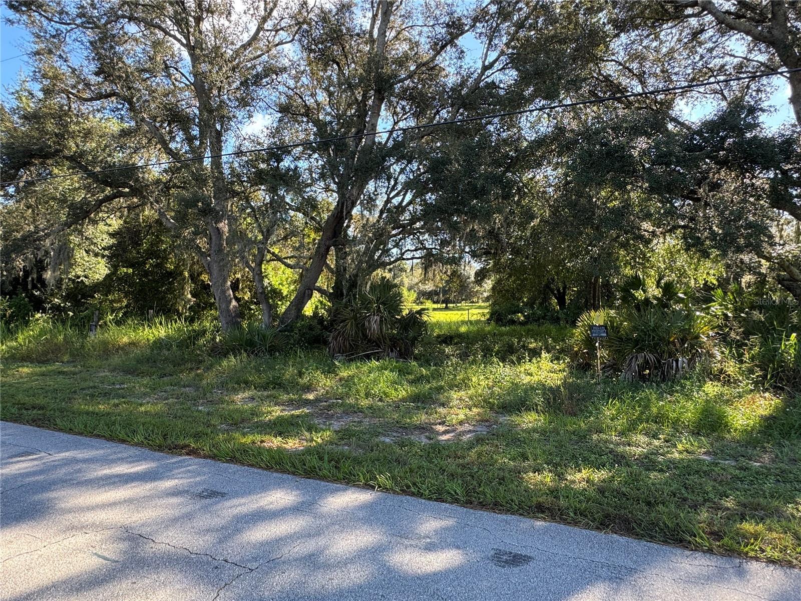 AVON PARK LAKES - Land