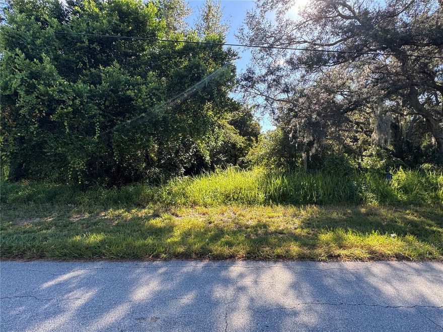 This vacant lot in Avon Park offers a great opportunity to build a custom home or it is zoned for a mobile home in a quiet, established neighborhood. The property provides convenient access to local shopping, dining, and schools while maintaining a peaceful residential setting.  All information is deemed reliable but not guaranteed and should be independently verified by the buyer or buyer’s agent.