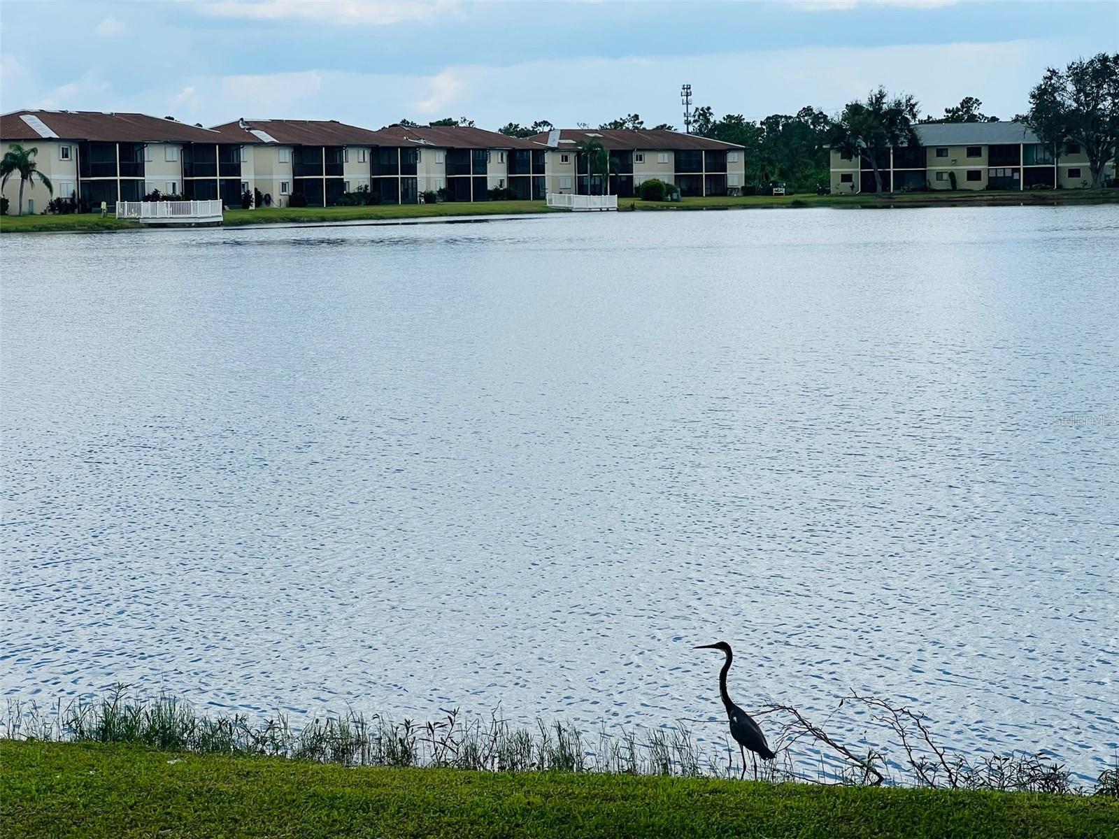 LAKESHORE CHARLOTTE COUNTY PH 04 - Residential Lease