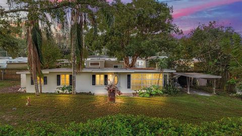 A home in MOUNT DORA