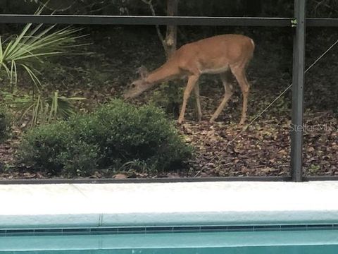 A home in GAINESVILLE