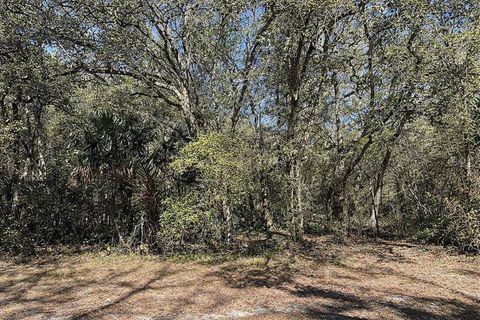 Lot 34,35 block C 18TH ST ORANGE CITY FL 32763
