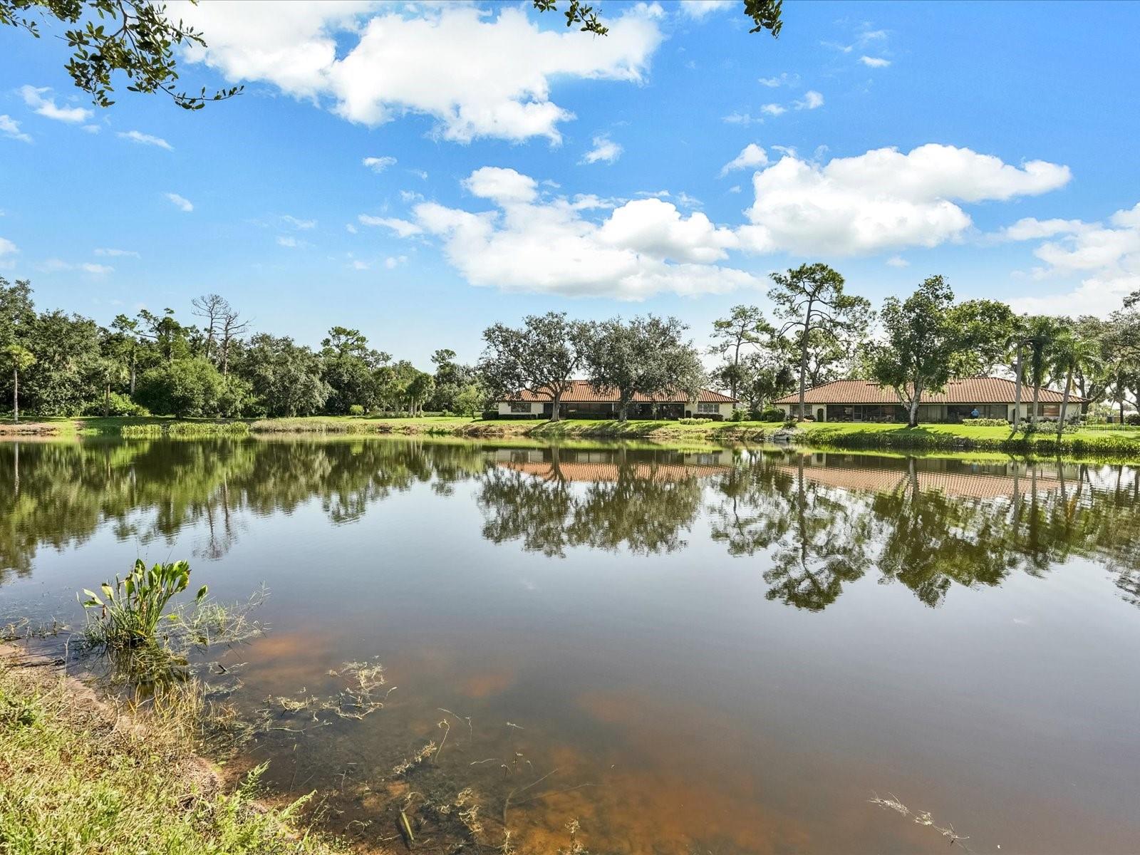 GOLF POINTE AT PALM-AIRE CC SEC 1 PH A - Residential