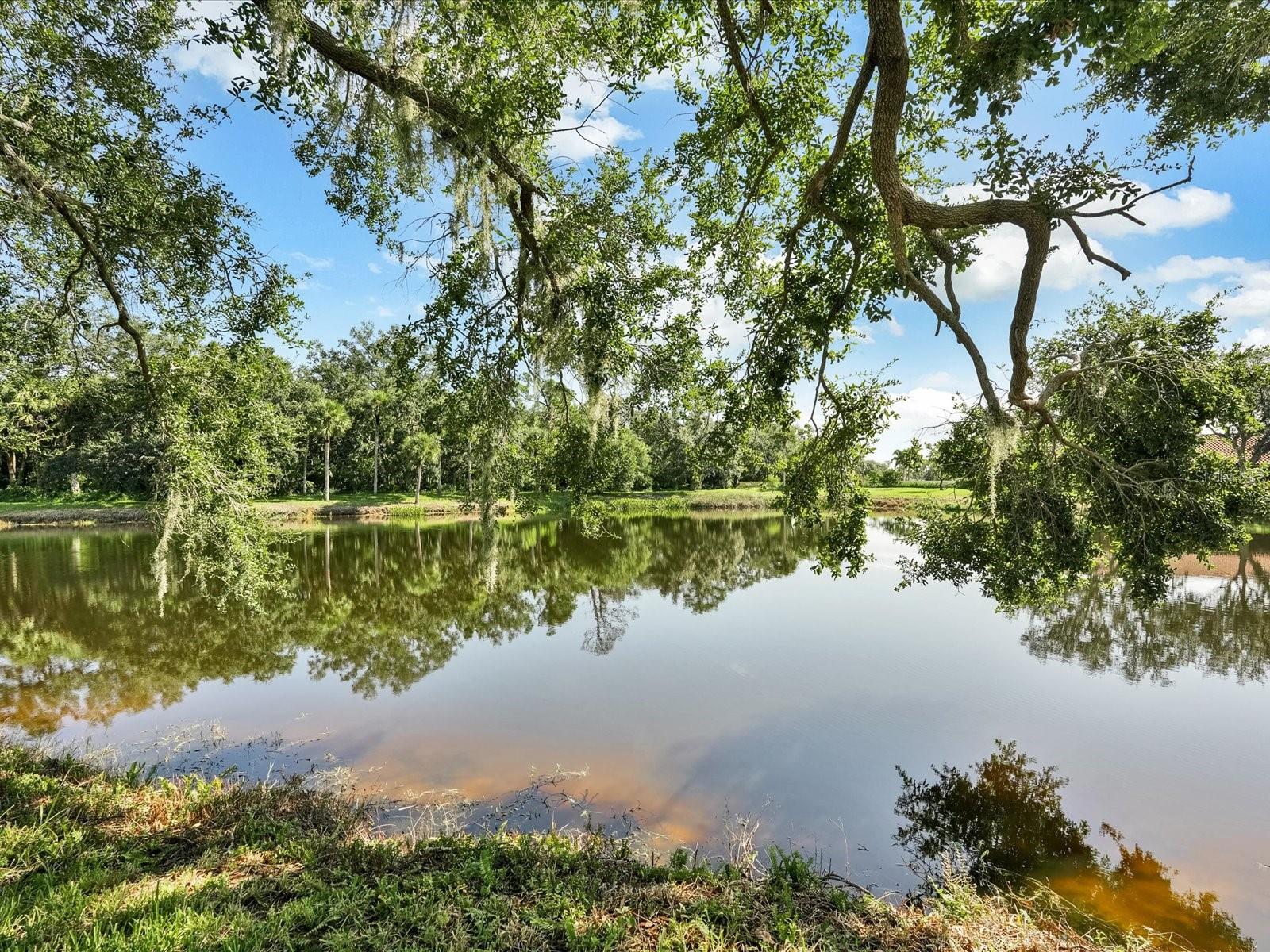 GOLF POINTE AT PALM-AIRE CC SEC 1 PH A - Residential