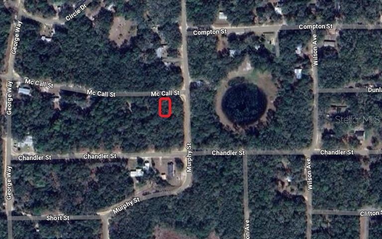 0.23 ACRES VACANT LAND IN INTERLACHEN, FL. ALL INFORMATION FROM THE SELLER AND MUST BE VERIFIED BY THE BUYER!
