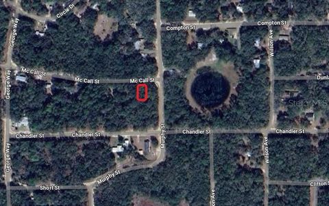 MCCALL STREET INTERLACHEN FL 32148
