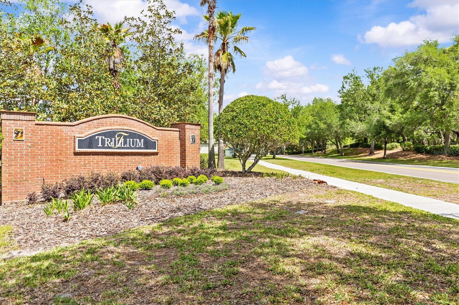 TRILLIUM VILLAGE A - Residential