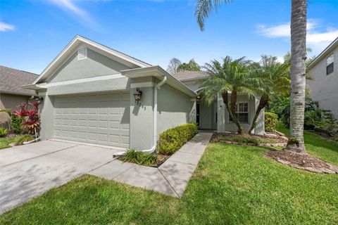 Photo of 10245 Woodford Bridge Street, Tampa, FL 33626 (MLS # TB8492918)