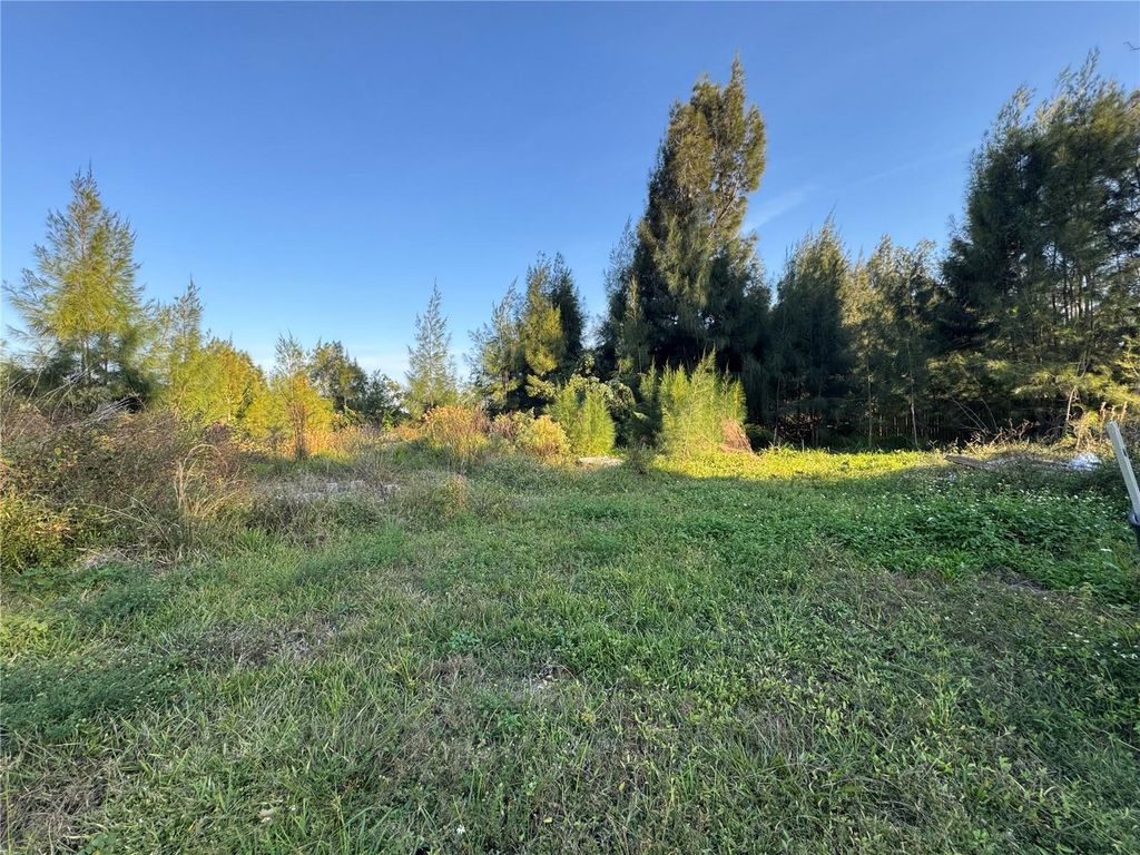 Photo of 5926 Sabalwood Drive, Punta Gorda, FL 33982 (MLS # C7518102)