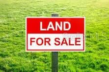 The address is approximated. Build or bring your mobile home to this stunning oversized 0.23-acre lot in the growing city of Interlachen. Power lines are already in place and located within minutes of schools, restaurants, diners, and parks.