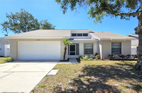 12121 WILDBROOK DRIVE RIVERVIEW FL 33569