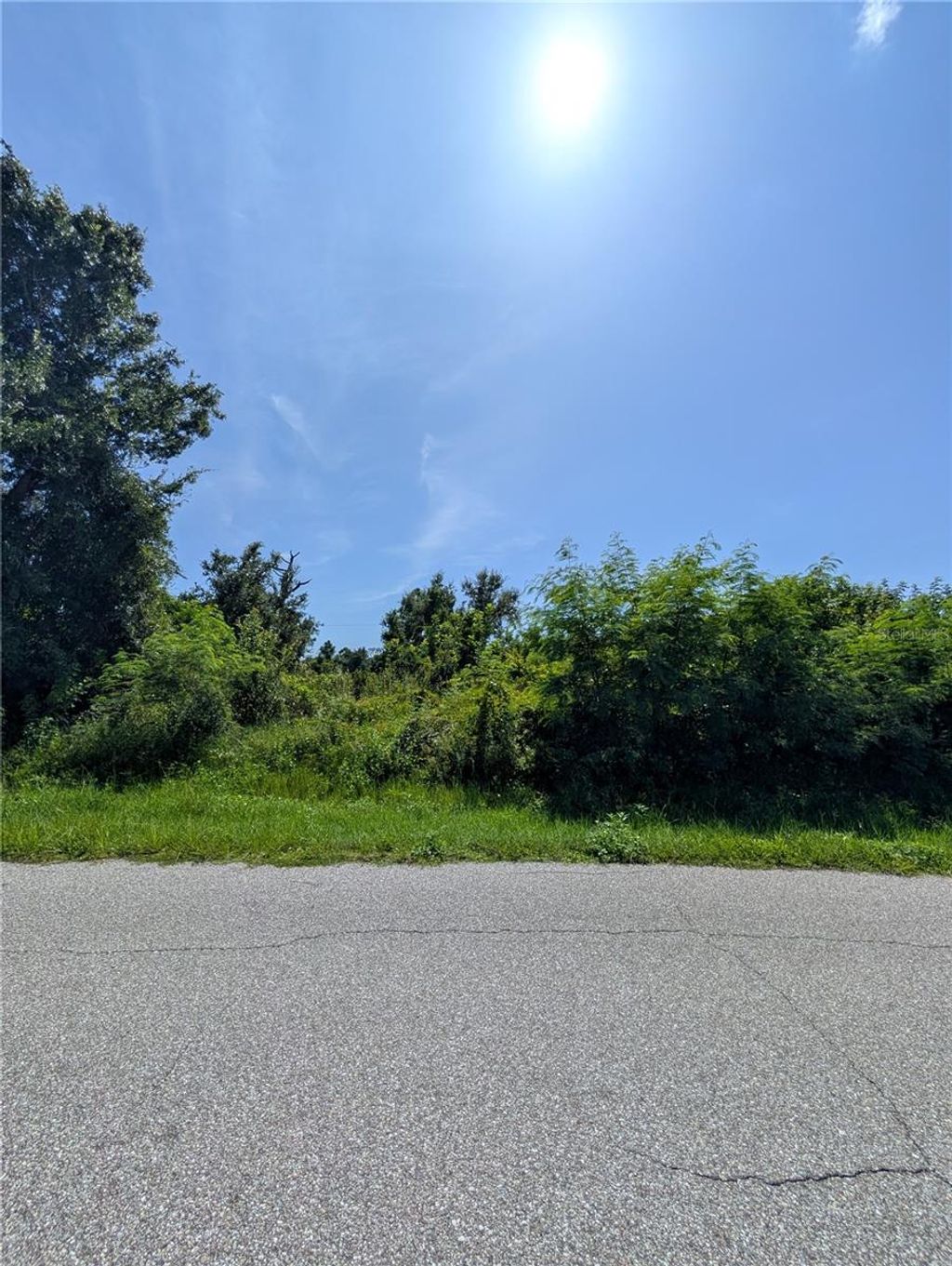 Photo of 12629 Bacchus Road, Port Charlotte, FL 33981 (MLS # N6140270)