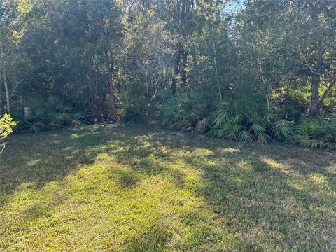 A home in MOUNT DORA