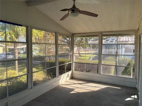 A home in MOUNT DORA