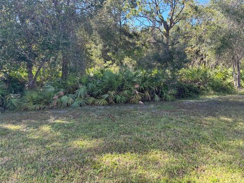 A home in MOUNT DORA