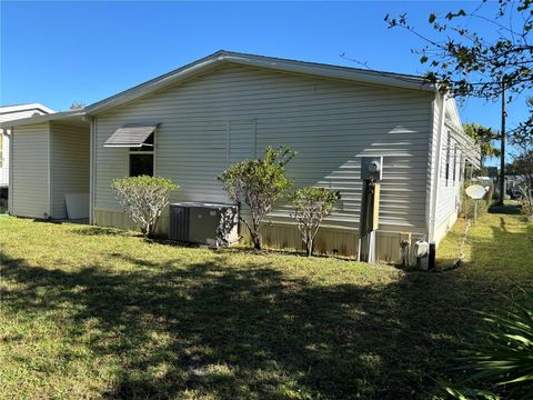 A home in MOUNT DORA