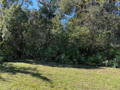 A home in MOUNT DORA