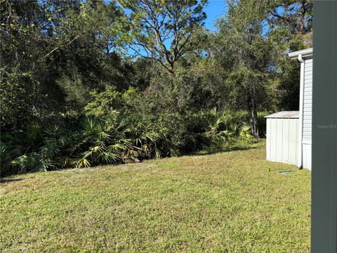 A home in MOUNT DORA