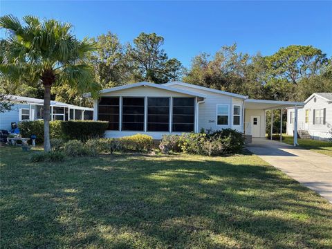 A home in MOUNT DORA