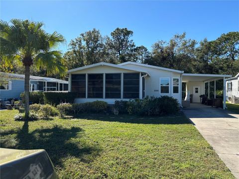 A home in MOUNT DORA