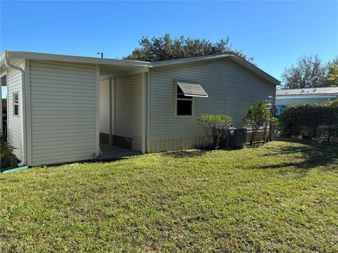 A home in MOUNT DORA