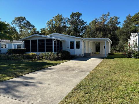 A home in MOUNT DORA