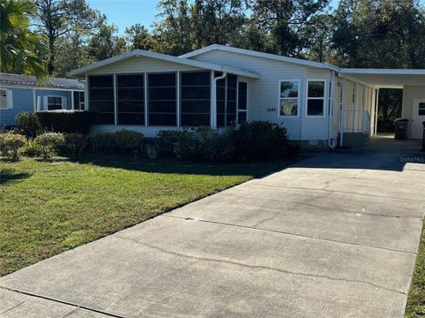 A home in MOUNT DORA