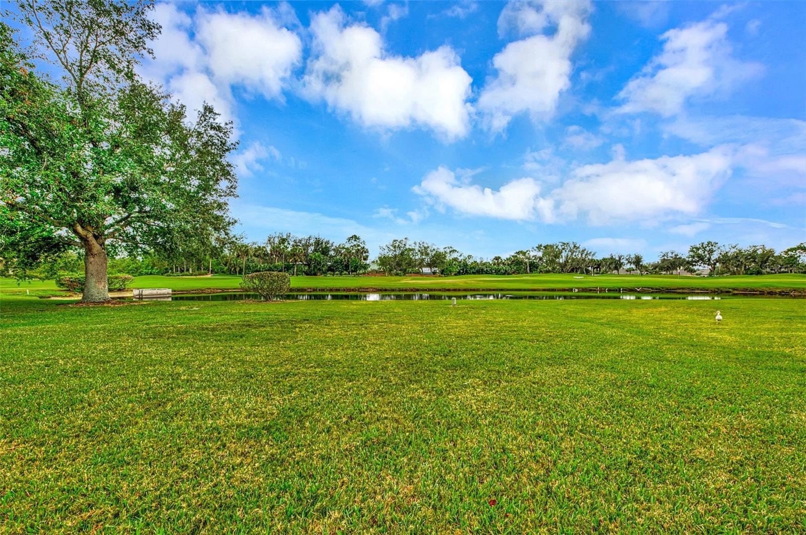 HERON CREEK - Residential