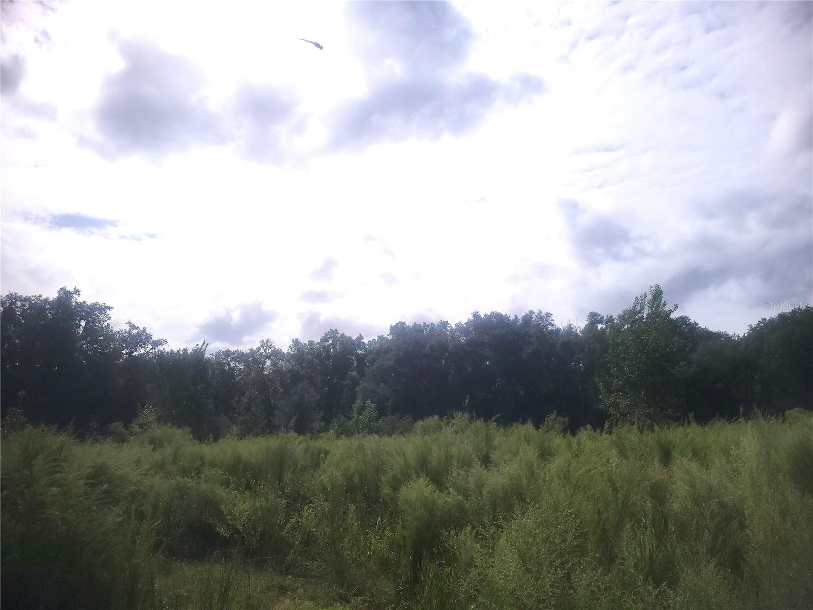 2826 NW 174TH STREET