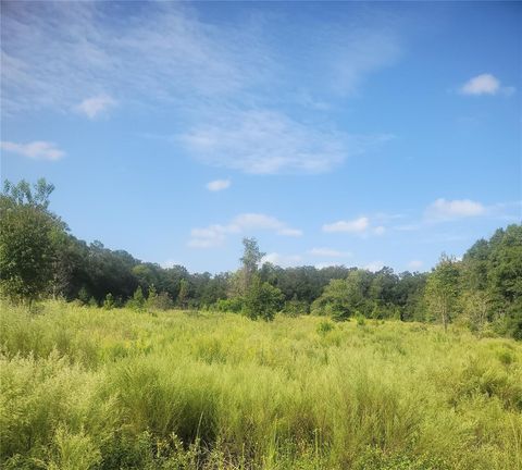 2826 NW 174TH STREET NEWBERRY FL 32669