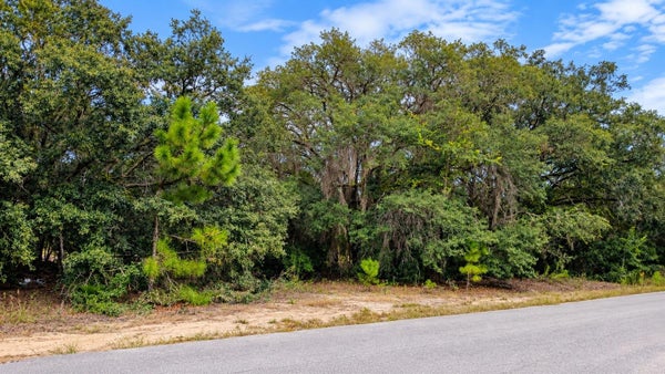 TBD SE MALAUKA LOOP RUN ROAD, OCKLAWAHA, FL 32179 - Image eb965cafb96774bfcb72333cb9bcc497/3692585463