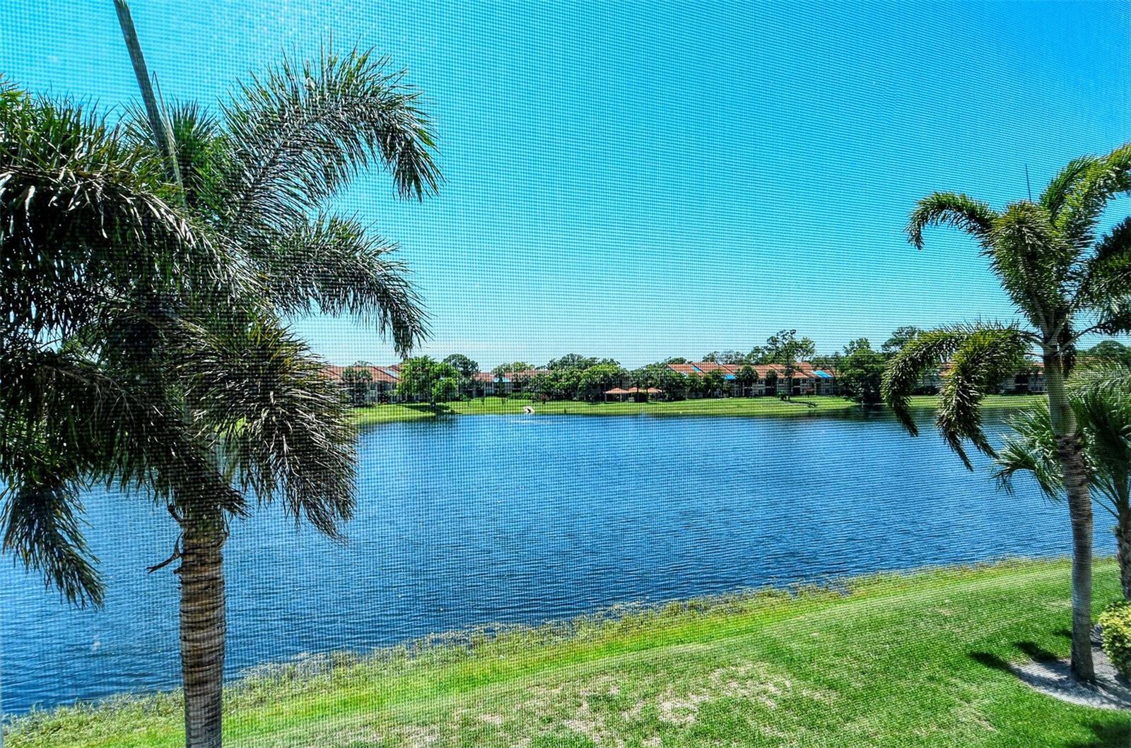 PINESTONE AT PALMER RANCH - Residential