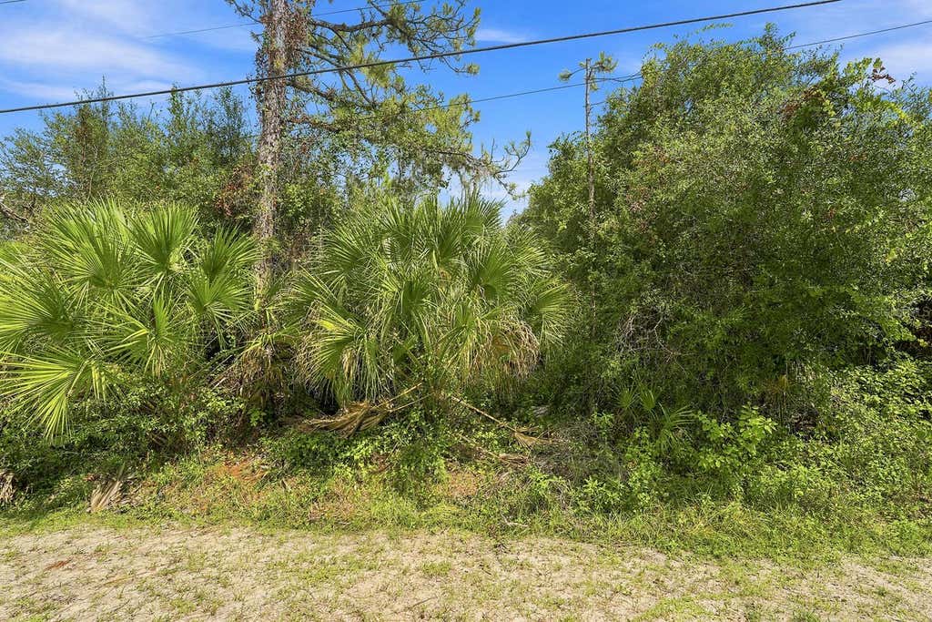 Photo of Henderson Lane, North Port, FL 34286 (MLS # A4702219)