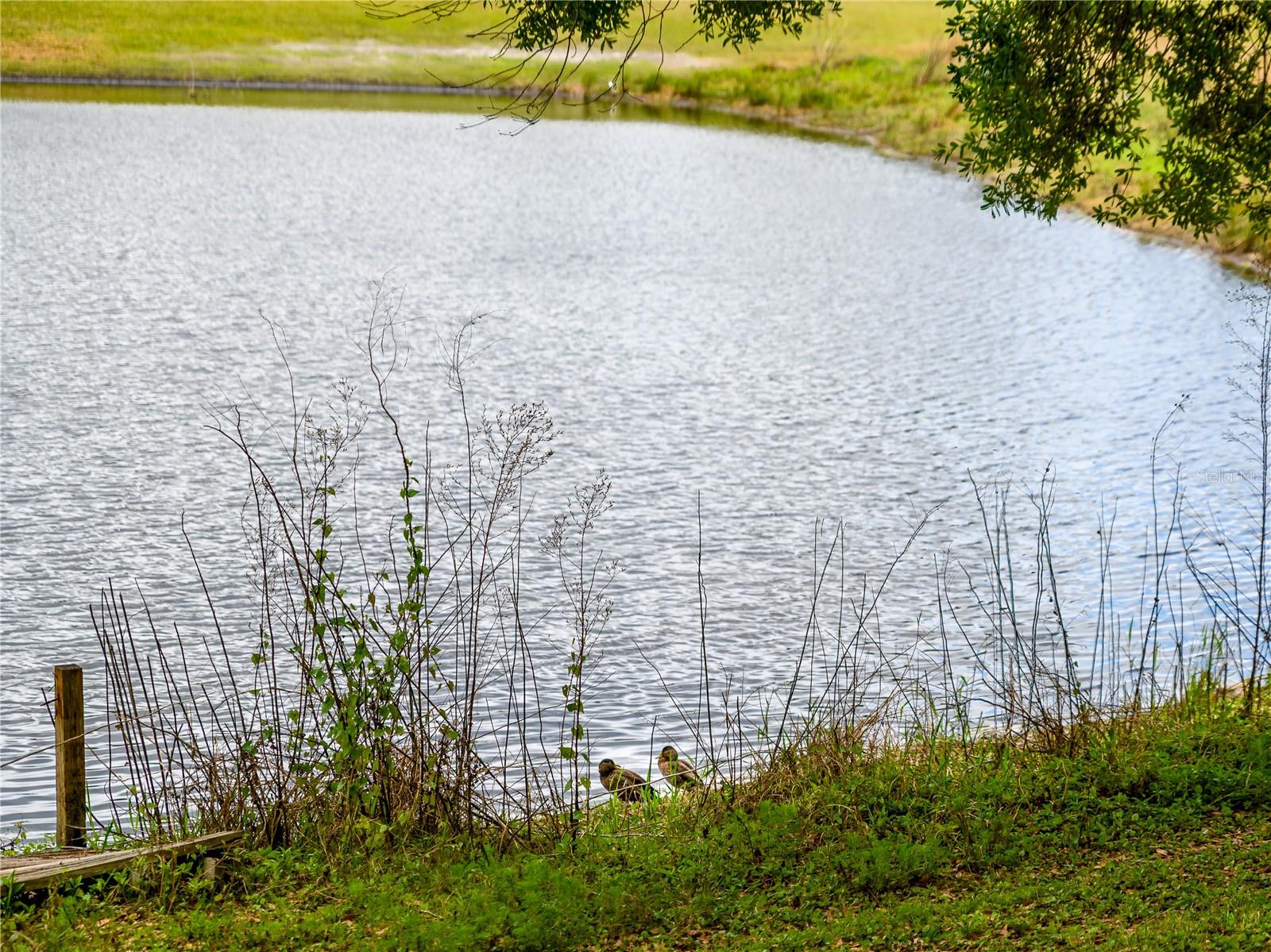 TURTLE LAKES - Residential