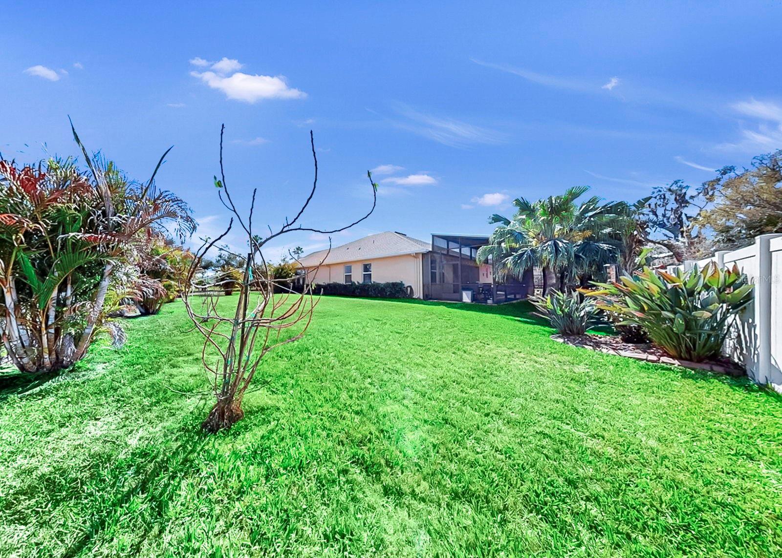 OAKLEAF HAMMOCK PH II - Residential